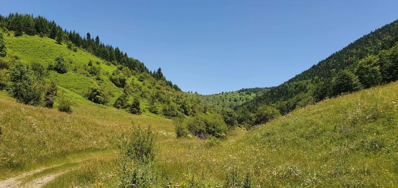 Villa Vrbena Εξωτερικό φωτογραφία
